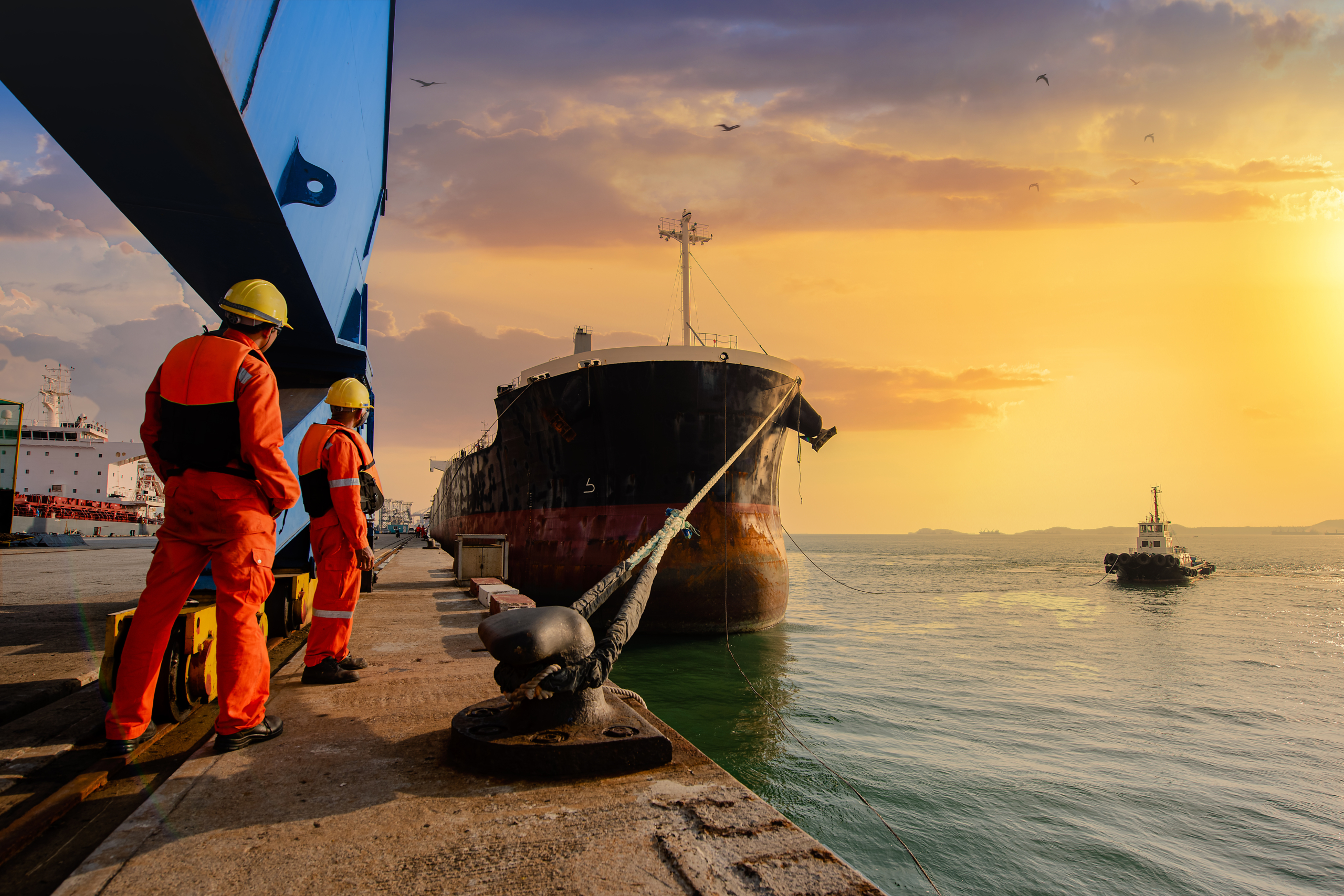 Container vessel under pilotage